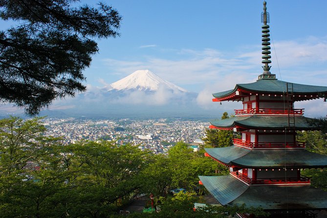 Mt. Fuji & Hakone Private Day Tour with English-Speaking Driver - Mt. Fuji 5th Station: the option you should plan around