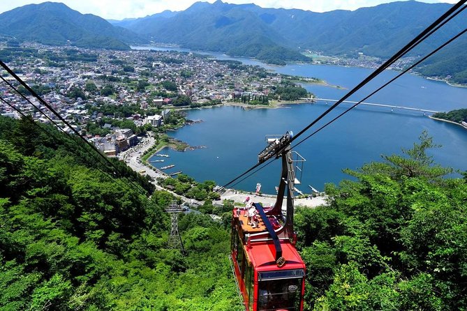 Mt. Fuji & Hakone Private Day Tour with English-Speaking Driver - Hakone Ropeway: panoramic views with a quick payoff