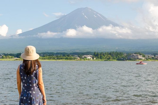 Mt. Fuji & Hakone Private Day Tour with English-Speaking Driver - Optional stops: Gotemba Premium Outlets and Hakone Open-Air Museum