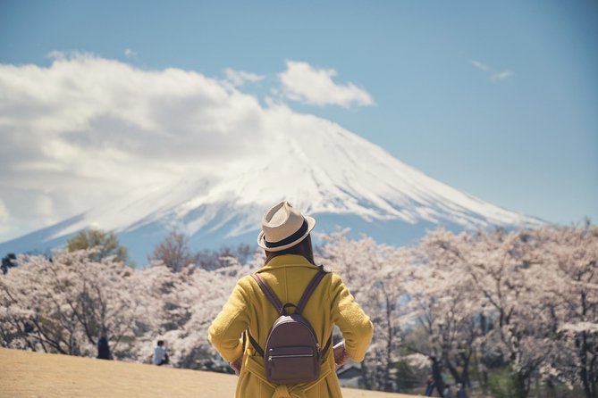 Mt. Fuji & Hakone Private Day Tour with English-Speaking Driver - The Fuji-area viewpoints: Lake Kawaguchiko and Oshino Hakkai vibes