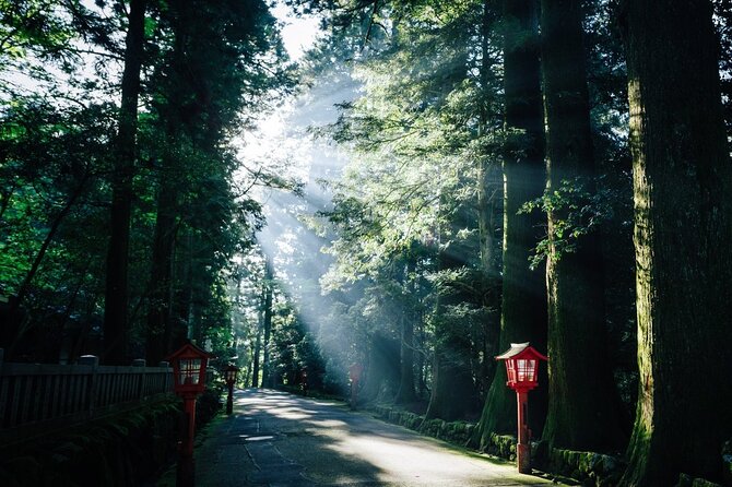 Mt. Fuji, Hakone Private Tour from Tokyo - Onsen, Arts and Nature - Amazake tea house: the pause that makes the day feel local