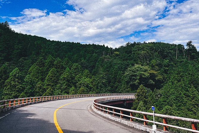 Mt. Fuji, Hakone Private Tour from Tokyo - Onsen, Arts and Nature - The art stop: Hakone Open-Air Museum or Pola Museum