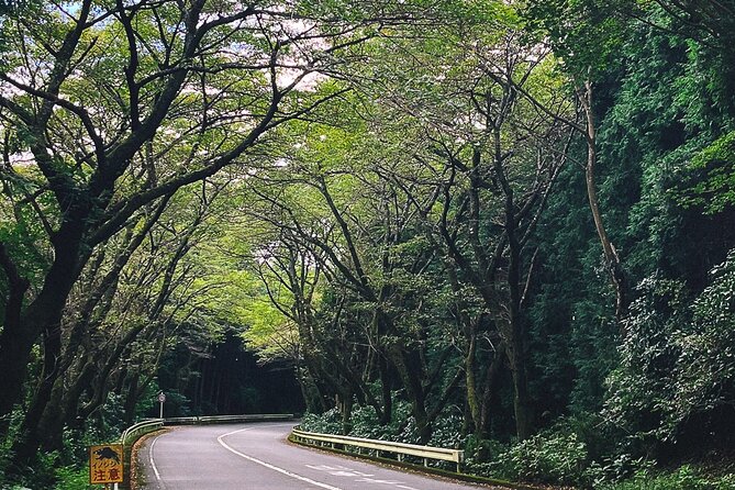 Mt. Fuji, Hakone Private Tour from Tokyo - Onsen, Arts and Nature - Price and logistics: what you’re paying for, and how to get your money’s worth