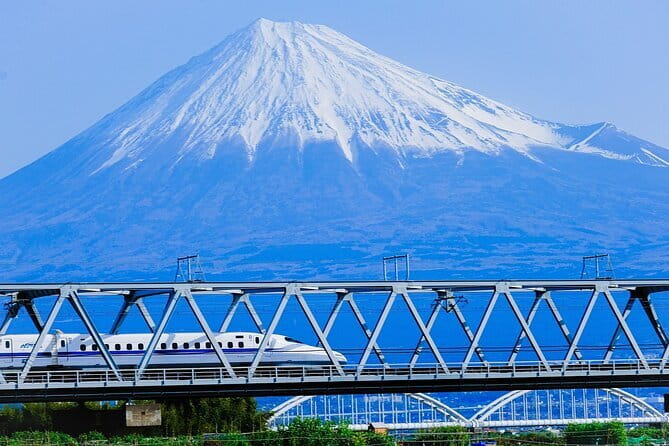 Mt Fuji & Hakone Private Tour from Tokyo: Return by Bullet Train - Key things to know before you go