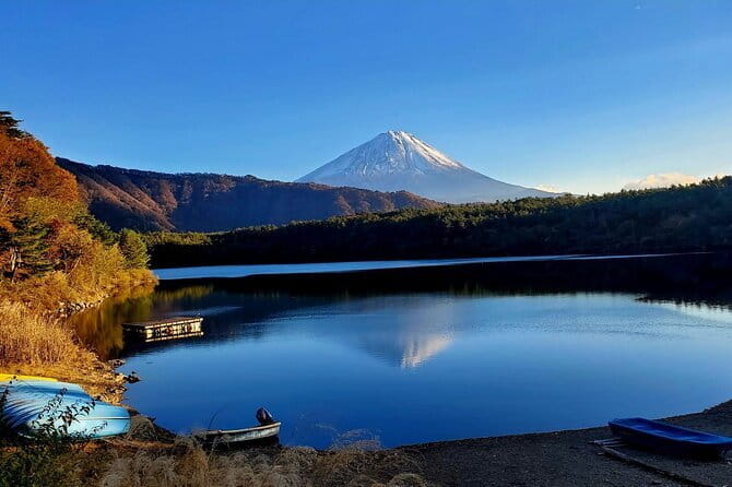 Mt Fuji & Hakone Private Tour from Tokyo: Return by Bullet Train - Price and Value: What $295 Really Buys