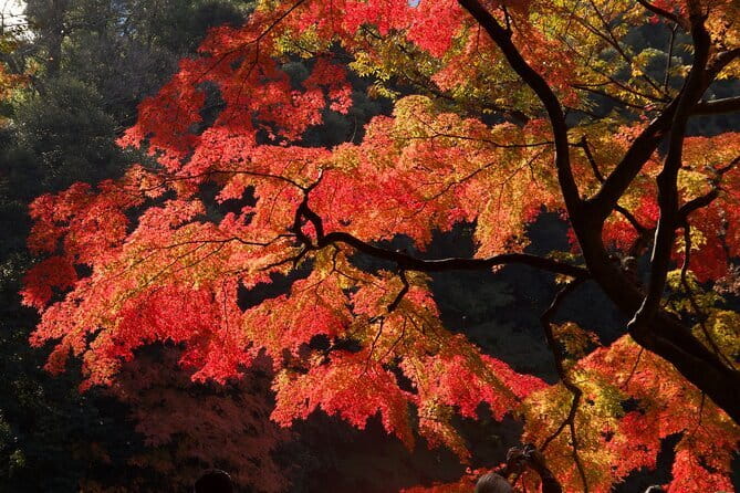 Mt Fuji & Hakone Private Tour from Tokyo: Return by Bullet Train - Into Hakone: Ropeway Views Up Above Lake Ashinoko
