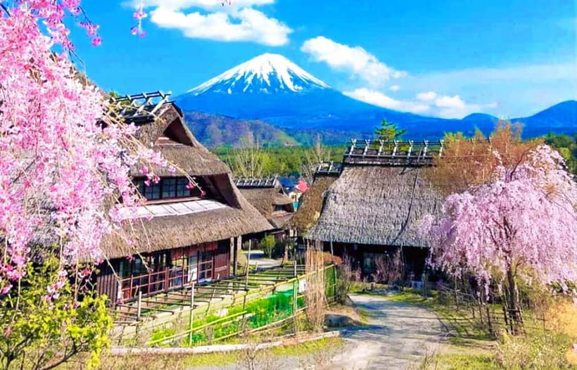 Mt. Fuji Heritage Tour: Traditional Villages, Lakes & Shrine - Morning pickup, bus ride, and how the day stays smooth