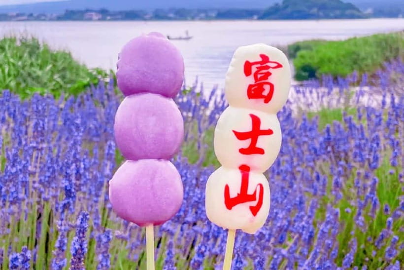 Mt. Fuji Heritage Tour: Traditional Villages, Lakes & Shrine - Arakurayama Sengen Park: Chureito Pagoda and the steps that make the shot