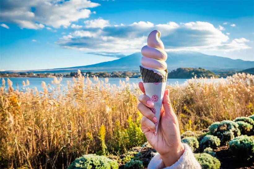 Mt. Fuji Heritage Tour: Traditional Villages, Lakes & Shrine - Oshino Hakkai: the quiet end of the day with spring ponds