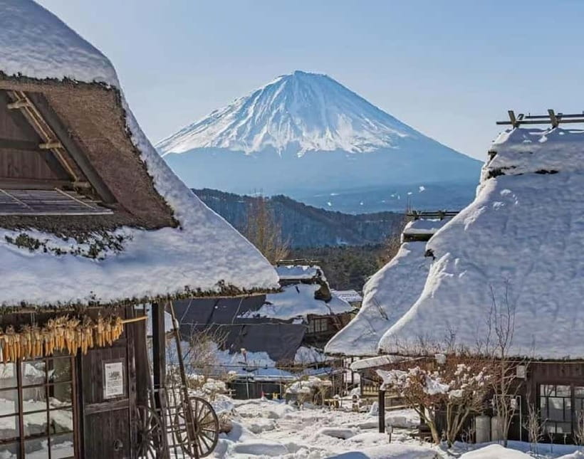 Mt. Fuji Heritage Tour: Traditional Villages, Lakes & Shrine - Saiko Iyashi no Sato Nenba: thatched houses, quick photos, and fun options
