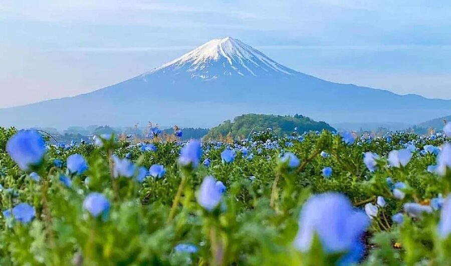 Mt. Fuji & Lake Kawaguchiko Ropeway Panorama Full-Day Tour - Lawson convenience store Fuji photo: a small stop with big payoff