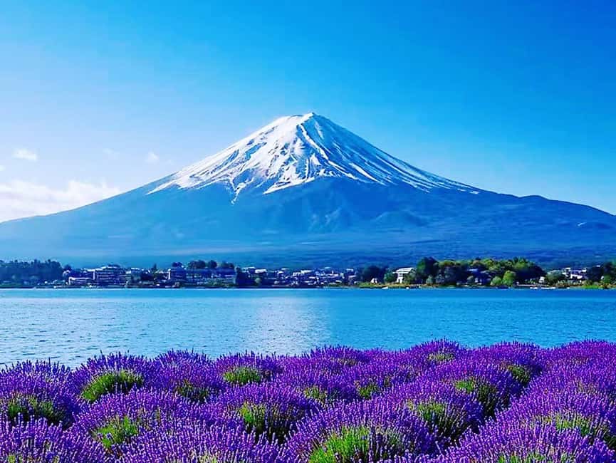 Mt. Fuji & Lake Kawaguchiko Ropeway Panorama Full-Day Tour - Timing, weather, and the Ropeway maintenance curveball