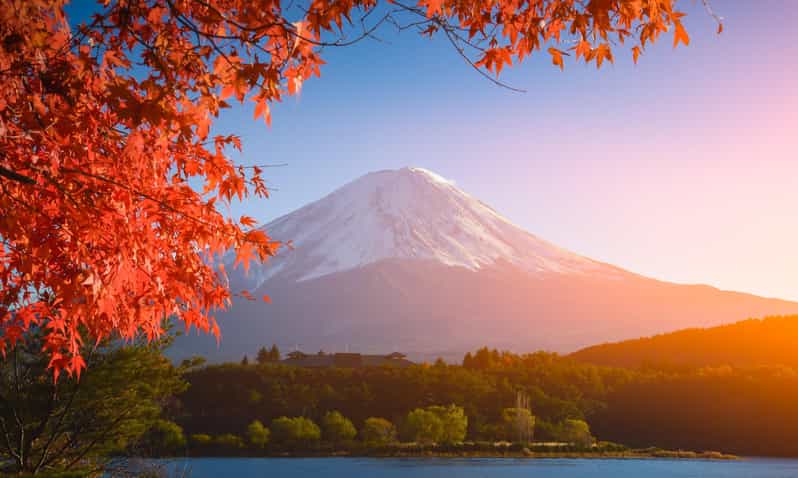 MT.Fuji: Mount Fuji Private day Tour With Guide - Kitaguchi-hongo Fuji Sengen Shrine: cedars, torii, and a calmer pace