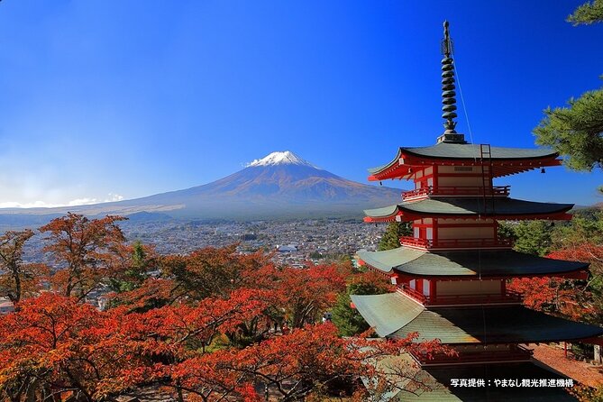 Mt. Fuji, Oishi Park & Arakurayama Pagoda Bus Tour with Lunch - Why a guided Mt. Fuji day trip from Shinjuku makes sense