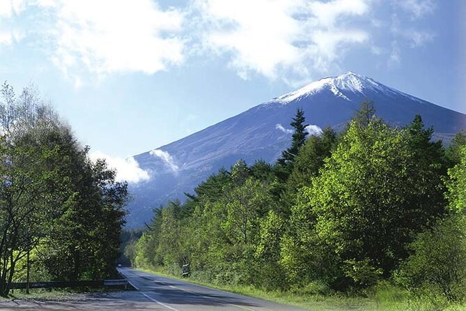 Mt. Fuji, Oishi Park & Arakurayama Pagoda Bus Tour with Lunch - Stop 2: Oishi Park’s Lake Kawaguchi photo views