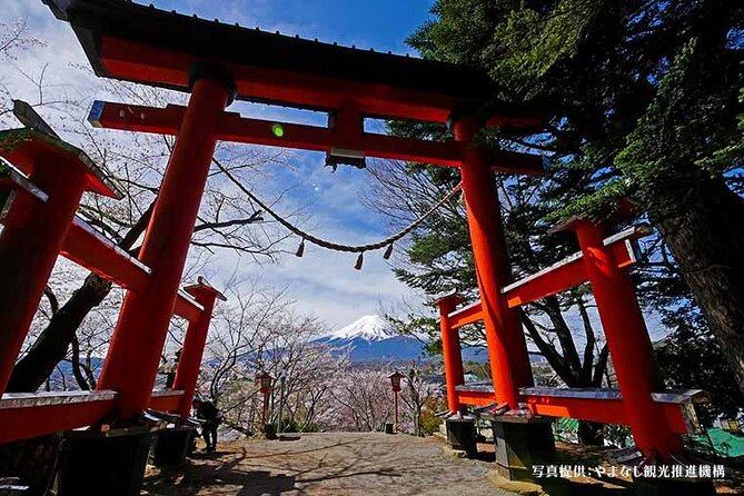 Mt. Fuji, Oishi Park & Arakurayama Pagoda Bus Tour with Lunch - What your English guide interpreter actually does for your trip