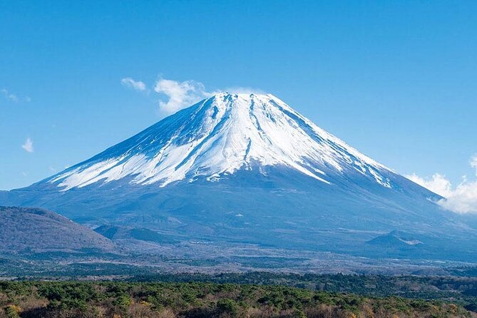 Mt. Fuji, Oishi Park & Arakurayama Pagoda Bus Tour with Lunch - Getting there: Shinjuku pickup, mobile ticket, and ride comfort