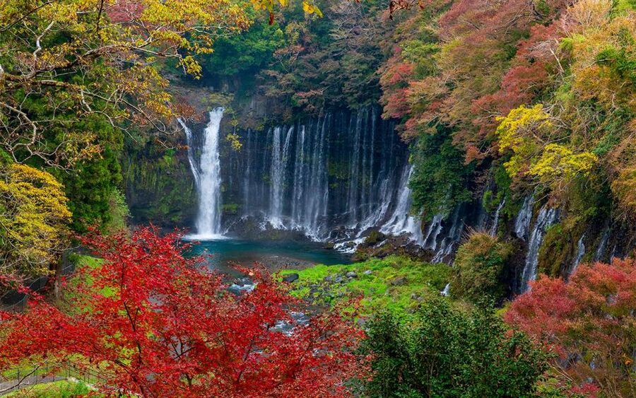Mt Fuji : Private 10-Hour Luxury Tour by Exclusive Car - Mt. Fuji photo priorities: Fuji Five Lakes views and the Chureito frame