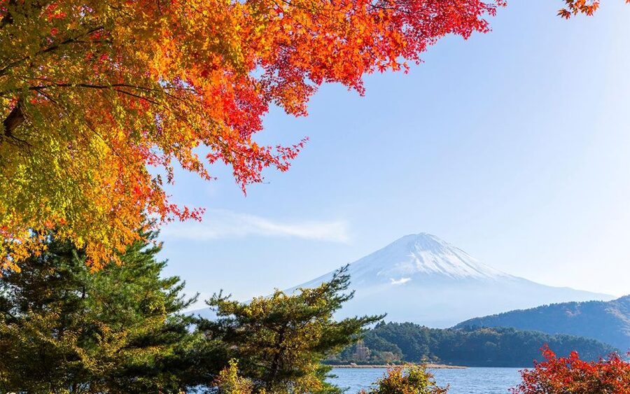 Mt Fuji : Private 10-Hour Luxury Tour by Exclusive Car - Chureito Pagoda Shrine: the iconic viewpoint where photos do the talking