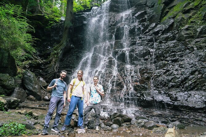 Mt. Fuji Private Chartered Tour with Nature and Wasabi Farm - Value and What Makes This Mt. Fuji Private Tour Different