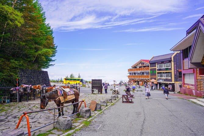 Mt. Fuji Private Chartered Tour with Nature and Wasabi Farm - Meeting at Shinjuku: Your Start Line and Why It Helps