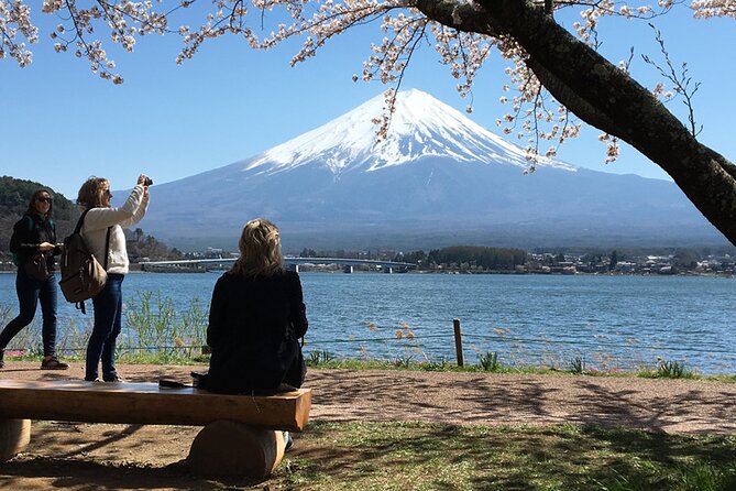 Mt Fuji Private Day Tour from Tokyo with English Speaking Driver - Key Things That Make This Tour Work Well