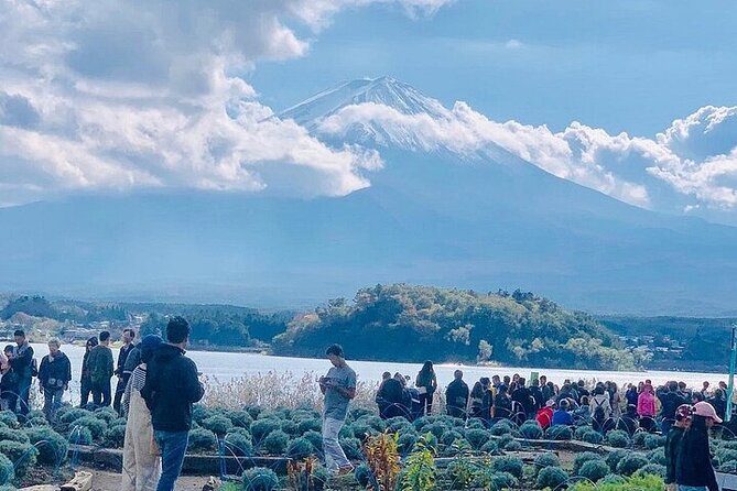 Mt Fuji Private Day Tour from Tokyo with English Speaking Driver - Subaru Line 5th Station: What You Can Reach by Car, and What Changes in Season