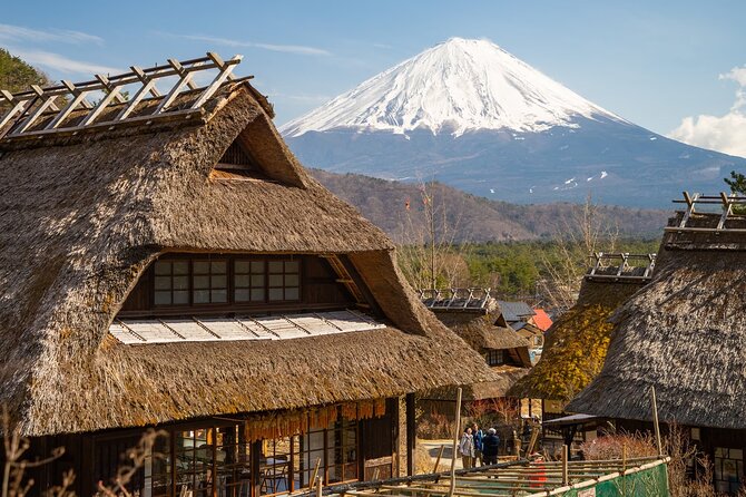 Mt Fuji Private Day Trip from Tokyo with English Speaking Driver - Why this Mt Fuji private day beats DIY from Tokyo