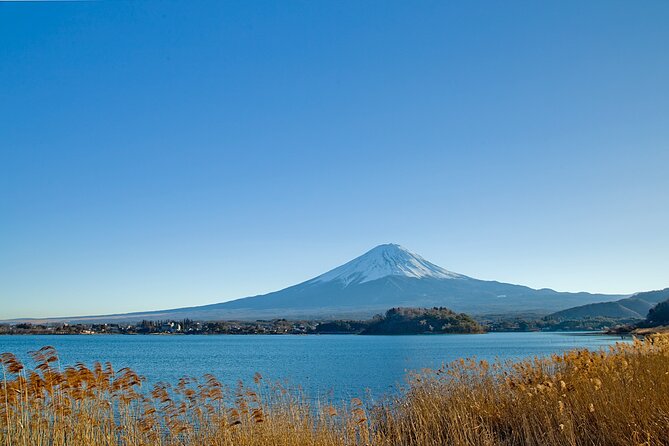 Mt Fuji Private Day Trip from Tokyo with English Speaking Driver - Your ride, Wi-Fi, and where you start at 8:00am