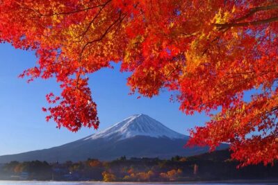 Mt Fuji Private Day Trip from Tokyo with English Speaking Driver