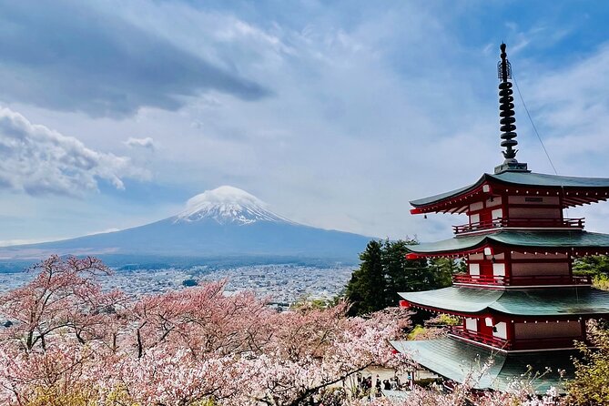 Mt Fuji Private Day Trip from Tokyo with English Speaking Driver - Stop 4: Kachikachi Ropeway for panoramic Mt Fuji views