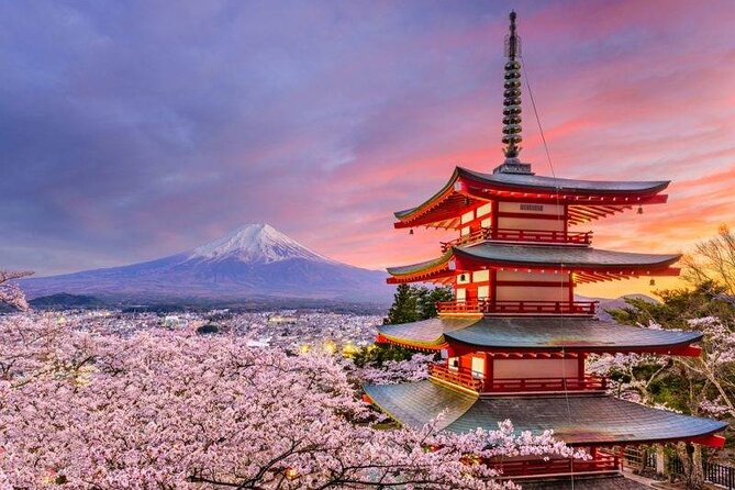 Mt. Fuji Private Tour with English Speaking Driver - Why a private Mt. Fuji day tour works better than DIY