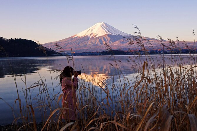Mt. Fuji Private Tour with English Speaking Driver - Arakurayama Sengen Park and the Chureito Pagoda photo payoff