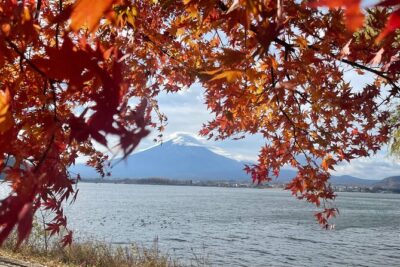 Mt Fuji Private Tour with English Speaking Driver
