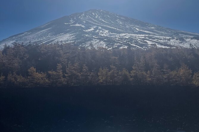 Mt. Fuji Private Tour with English Speaking Driver - Lake Kawaguchiko: ropeway views and lakeside choices