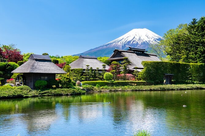 Mt. Fuji Private Tour with English Speaking Driver - Oishi Park: seasonal flower color plus hands-on food extras