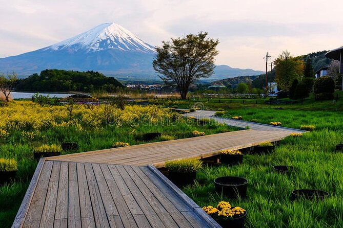 Mt. Fuji Private Tour with English Speaking Driver - Oshino Hakkai springs: real Fuji water, not just a waterfall vibe