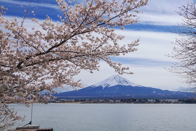 Mt. Fuji Private Tour with English Speaking Driver - Gotemba Premium Outlets: the convenient optional wrap-up