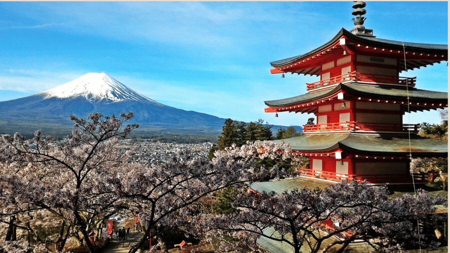 Mt Fuji Sightseeing Private tour with English Speaking Guide - Lake Kawaguchi, Oishi Park, and Chureito Pagoda Photo Power