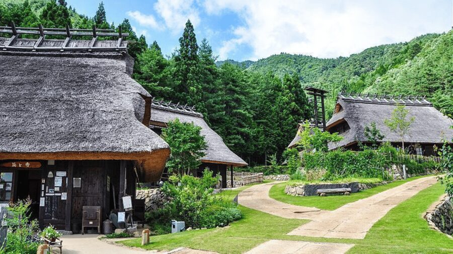 Mt Fuji Sightseeing Private tour with English Speaking Guide - Aokigahara Forest Walk: Short, Specific, and Easy to Overlook
