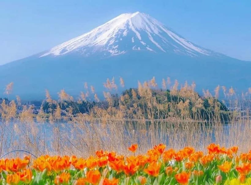 Mt Fuji Top 5 Spots Day Tour: Arakurayama Park,Oshino Hakkai - Mt Fuji Top Spots, One Smooth Tokyo Day