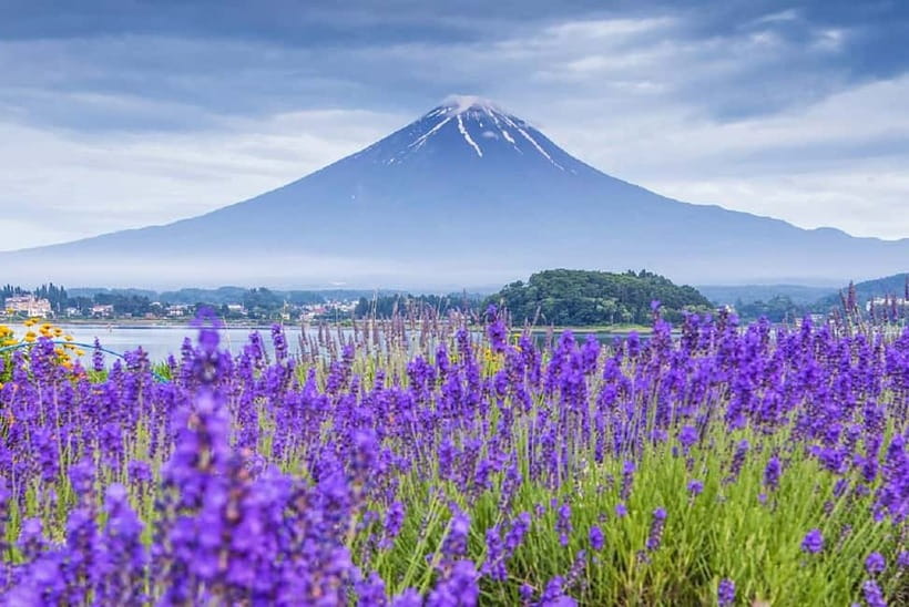Mt Fuji Top 5 Spots Day Tour: Arakurayama Park,Oshino Hakkai - The Morning Fuji Hits: Arakurayama Sengen Park and Chureito Area