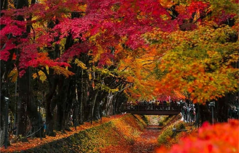 Mt Fuji Top 5 Spots Day Tour: Arakurayama Park,Oshino Hakkai - The Guides Who Make This Work: Group Flow and Photo Help