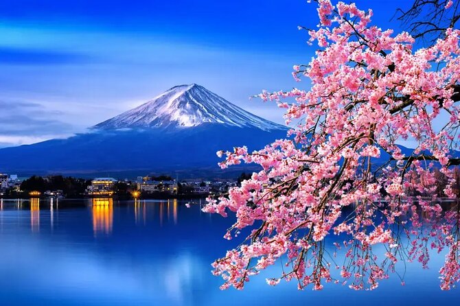 Mt. Fuji Tours with Kawaguchi Lake Ropeway View English Speaking - Mt. Fuji Panoramic Ropeway at Lake Kawaguchi: The Signature View Stop