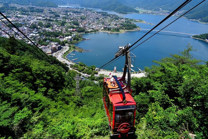 Mt. Fuji Tours with Kawaguchi Lake Ropeway View English Speaking - Oishi Park for Lavender Views, Then Move On