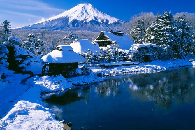 Mt. Fuji Tours with Kawaguchi Lake Ropeway View English Speaking - Guides Make or Break the Mood, From Sawaki to Erina