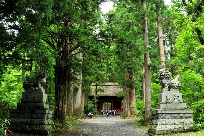 Nagano All Must-Sees 4hr Private Tour with Licensed Guide - Price and budget: what $120.84 includes, and what costs extra