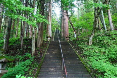 Nagano Private Tour With English Speaking Driver