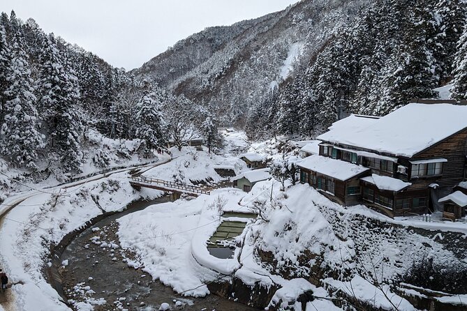 Nagano Snow Monkey 1 Day Tour with Beef Sukiyaki Lunch from Tokyo - The walk and ice gear: crampons, shoes, and why you should prepare early