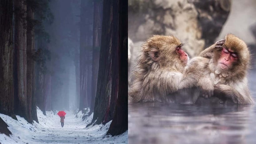 Nagano: Snow Monkeys & Togakushi Shrine Two-Spot in-One Day - Local lunch in the middle of mountain driving, how your guide helps